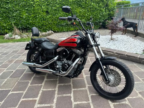 H-D Street Bob