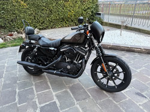 H-D Iron 883