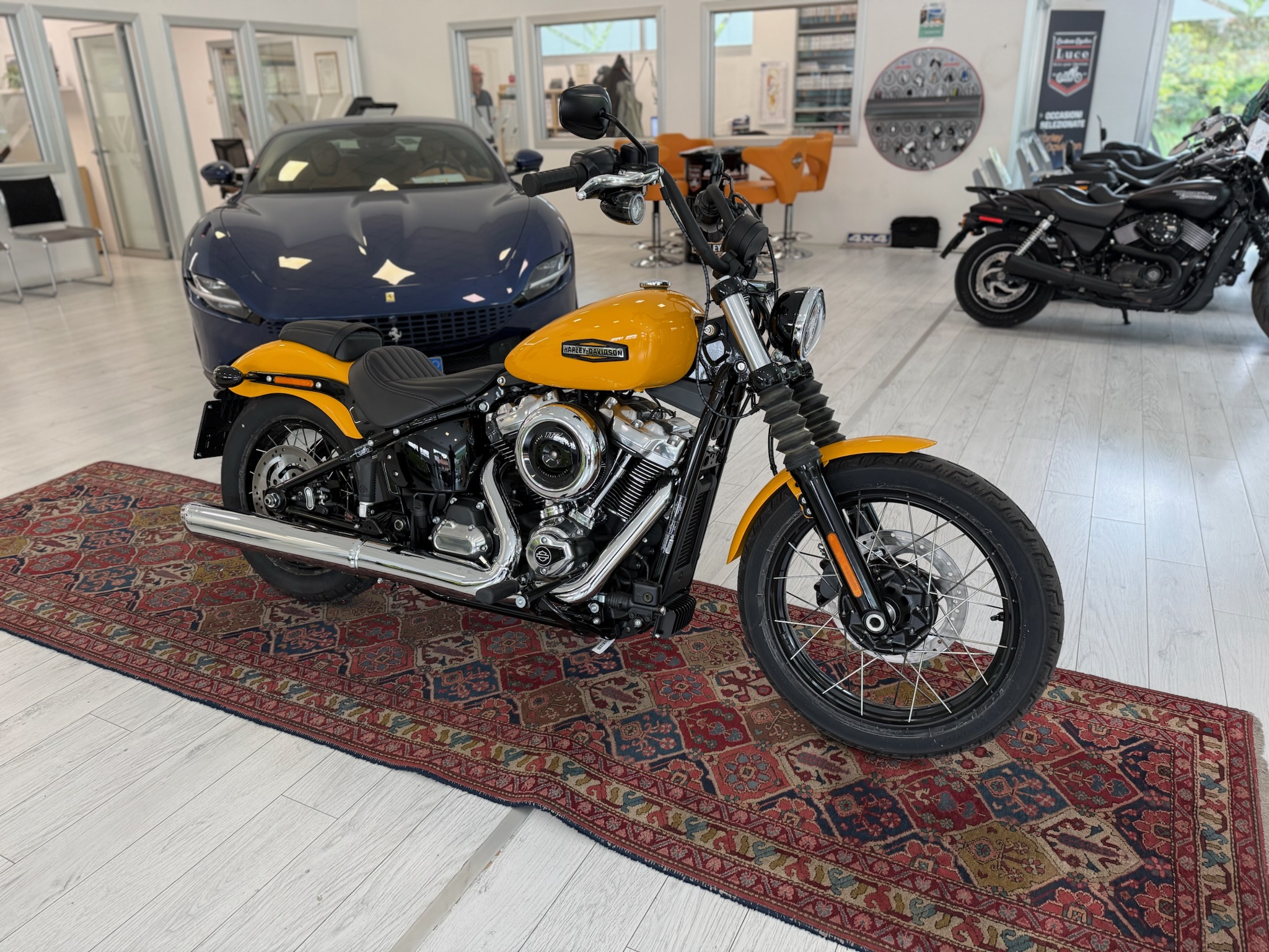 H-D Street Bob