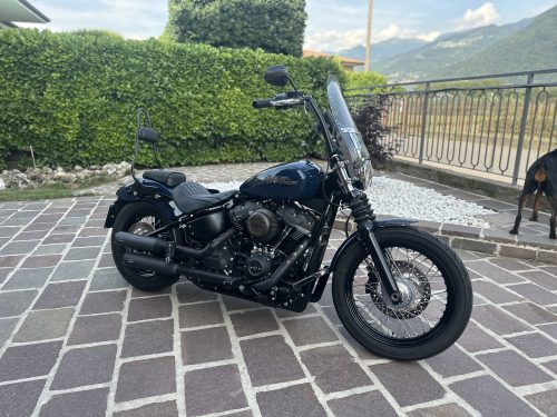 H-D Street Bob