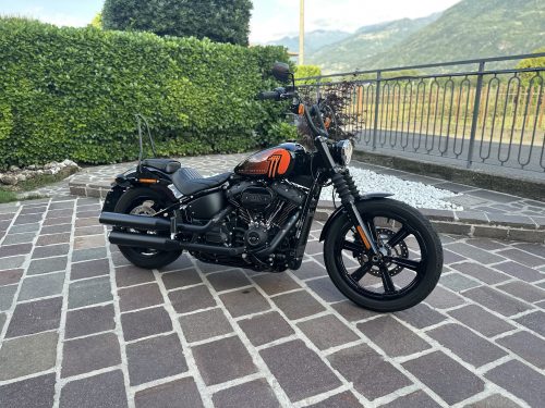H-D Street Bob