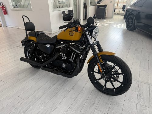 H-D Iron 883
