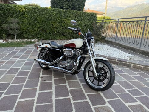 H-D XL 883 Low